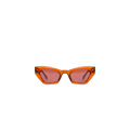 Gafa PX1 Brown